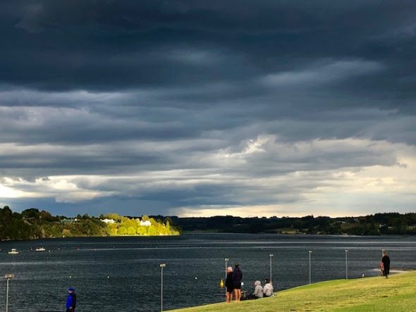 dragons-abreast-brisbane-nz-nationals-2019 dragons-abreast-brisbane-nz-nationals-2019