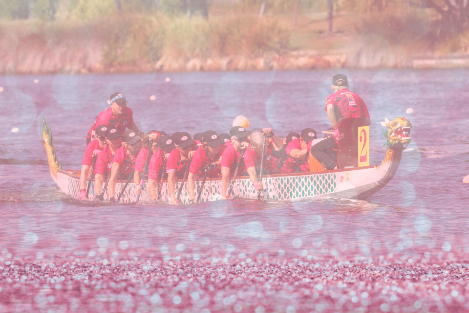 dragons-abreast-brisbane-is-20