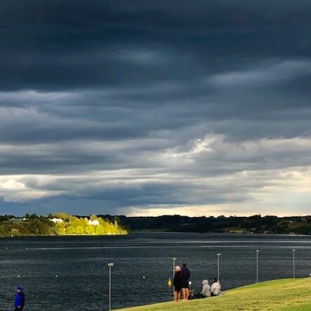 dragons-abreast-brisbane-nz-nationals-2019