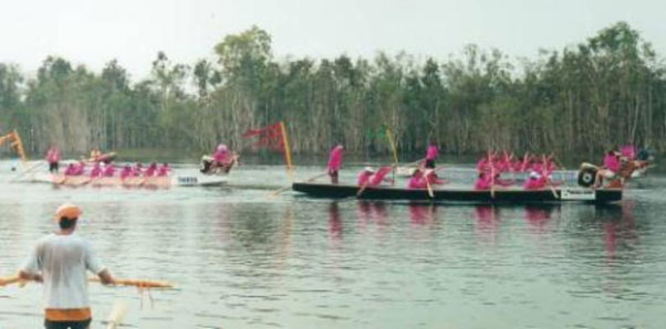Close Paddling in the AusDBF Dragons Abreast <br />Division. NT in 
black boat, NSW in orange, QLD /ACT in blue.