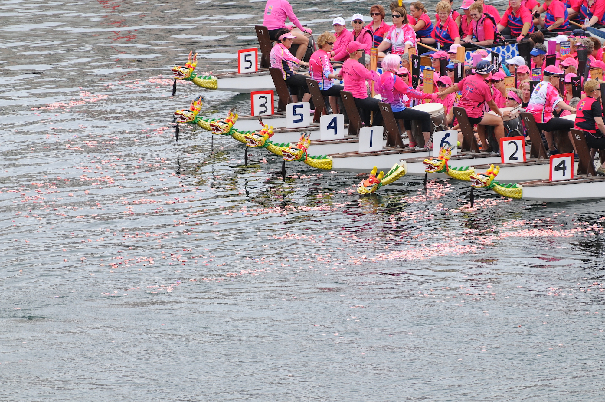 dragons-abreast-brisbane-dragon-boating-for-breast-cancer-survivors-chinese-dragon-boat-festival-2011-flowers-on-the-water