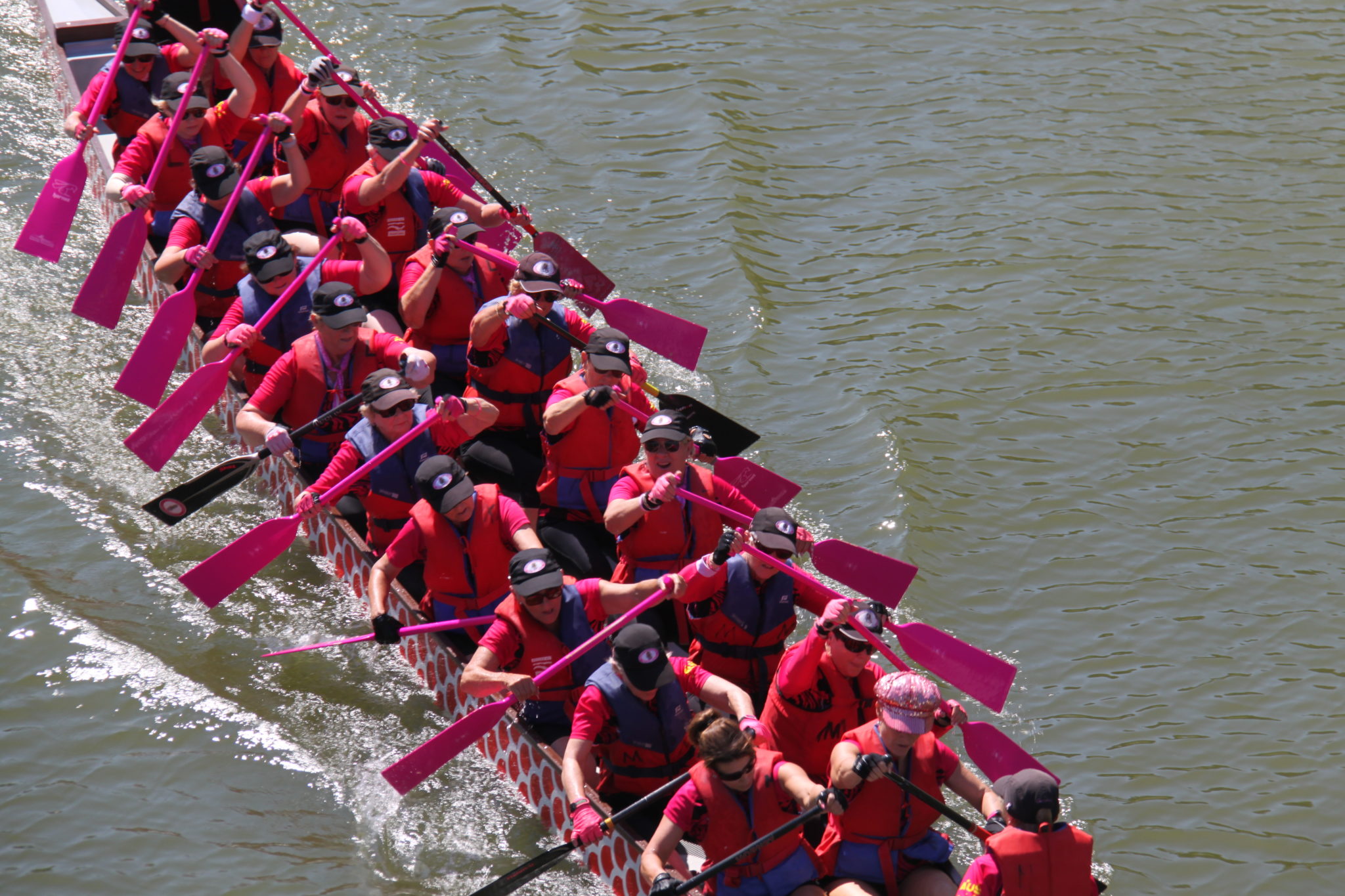 dragons_abreast_brisbane_MBT_dragon_boat_paddling_for_breast_cancer